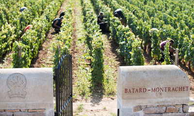 A 'Bâtard-Montrachet' Steal