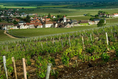 Jouan's Rare 'Clos St. Denis': A Vertical Offer