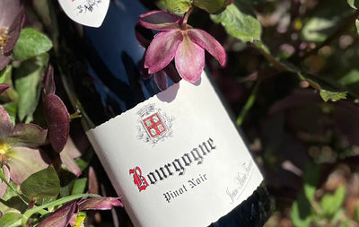 2020 Jean-Marie Fourrier Bourgogne Rouge