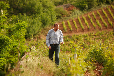 Fourrier's Rare 'Latricières-Chambertin'