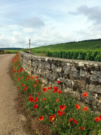 2017 Mugneret-Gibourg Vosne-Romanée