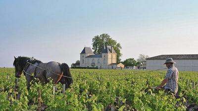 1995 Pavillon Rouge du Château Margaux