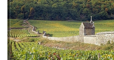 2020 Burgundy Campaign - En Primeur + Arrivals