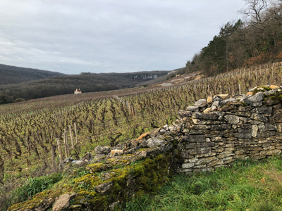 2019 La Porte Saint Jean Saumur-Champigny