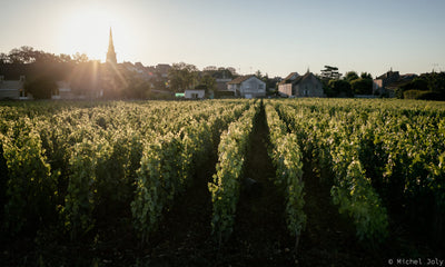 Domaine Roulot: A 2008-2021 Spread