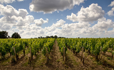 1988 Château Talbot, St.-Julien