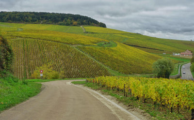 Testut's Lone Chablis Grand Cru