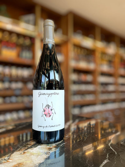 2019 Antoine Lienhardt Gamay du Pierrot