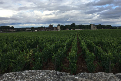 2014 Lamarche 'Clos de Vougeot' Grand Cru